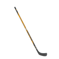 BAUER Comp. Schläger Pastrnak Intermediate Links