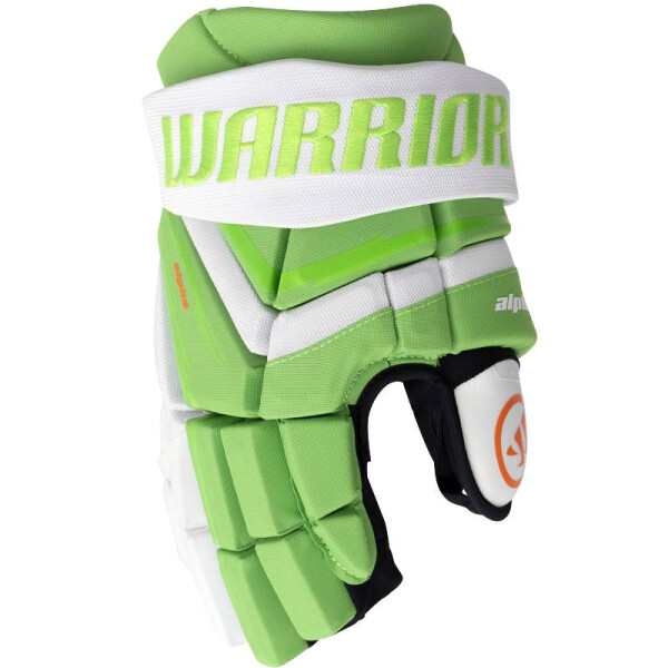 Handschuhe Deluxe LT Junior